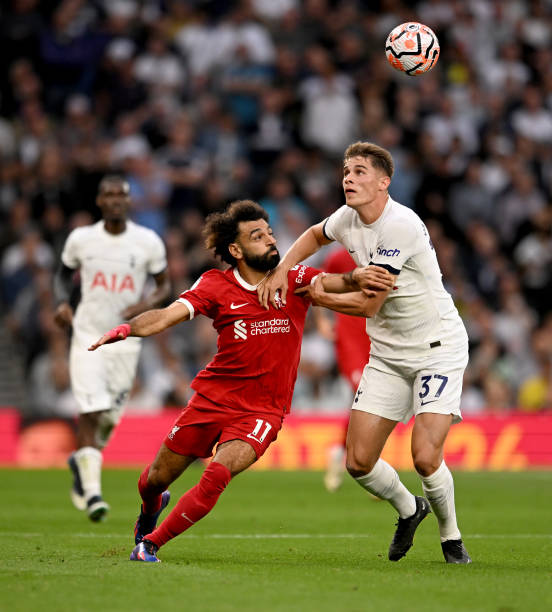 这样的阵容 这样的阵容