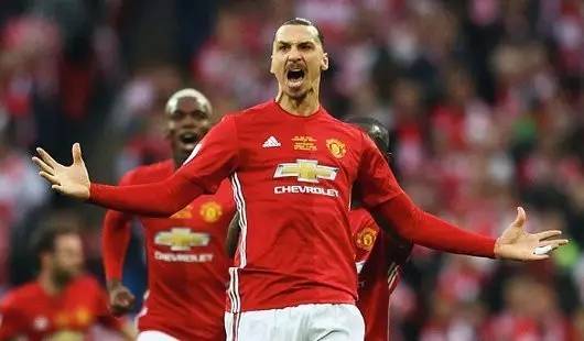 了专业营养 了专业营养